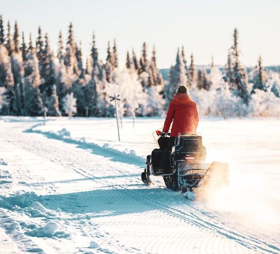 Husky dream in wintry Sweden © taikuri