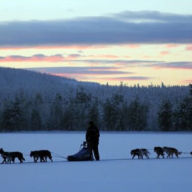 Husky Experience Week: Your personal winter dream