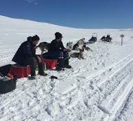 Bilder (39) Snötroll