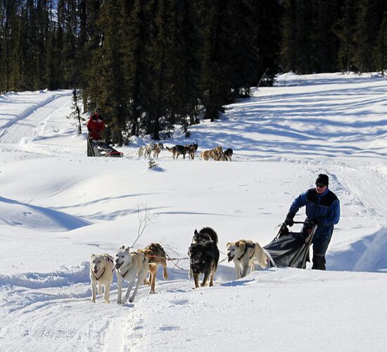 Brooks Range Husky Expedition © alaska winter adventures