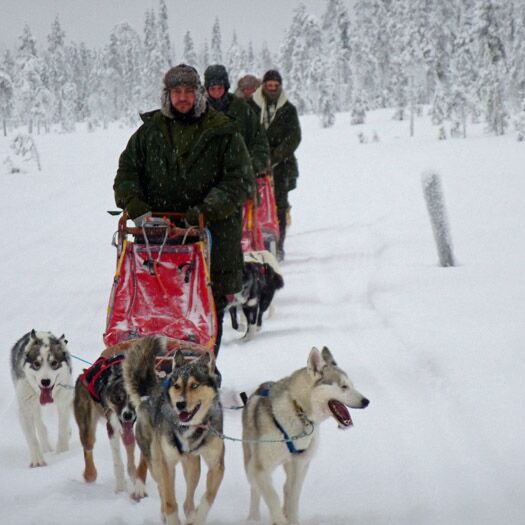 Kebnekaise Bergtour © frosty trails