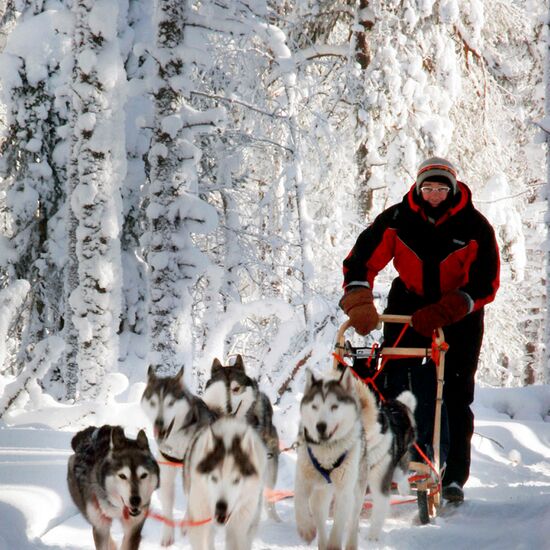 Husky week in Finland