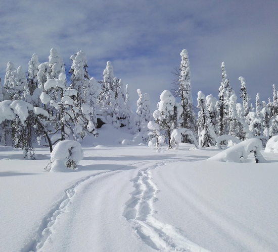 Family Christmas Holidays in Southern Lapland © hikesntrails