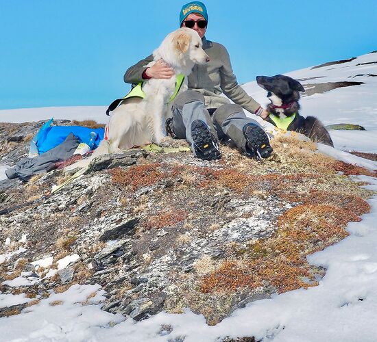 Winterwoche mit Huskys in atemberaubender Natur © whitehorizon