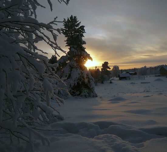 Reiturlaub Finnland © Nature Point Paljakka