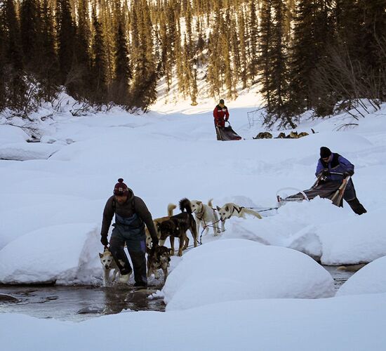 Brooks Range Husky Expedition © alaska winter adventures