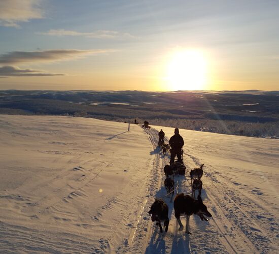 Alta 4 Day Experience © holmenhundecenter