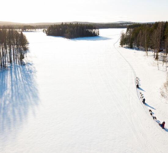 Northern Lights Trip to Swedish Lapland © sörbyn lodge