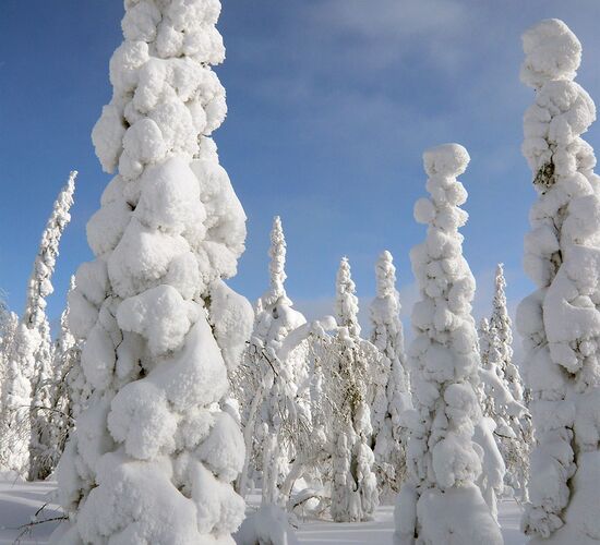 Reiturlaub Finnland © Nature Point Paljakka