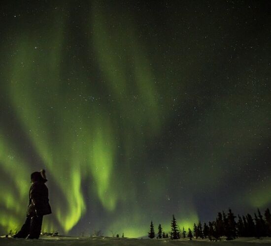 Nordlichtbeobachtung © Arctic Range Adventures