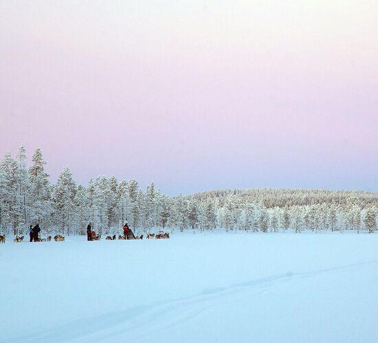 Northern Lights with Direct Flight © new uploads 2023