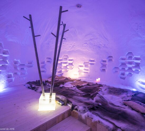 IGLOO Day © FlyCar