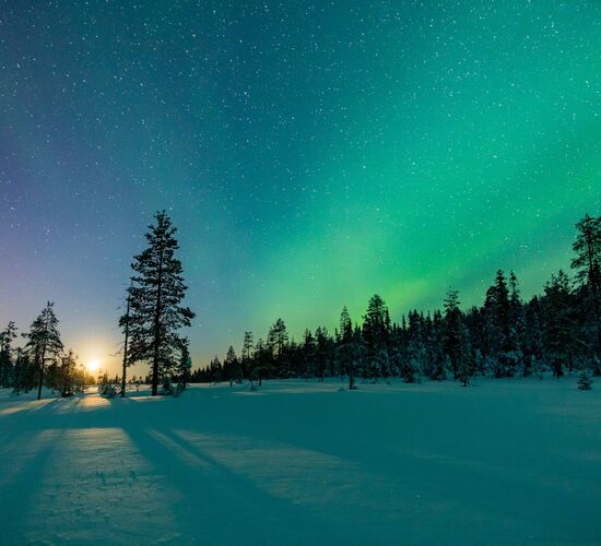 Wild & Luxury Dog Sledding © isosyoete
