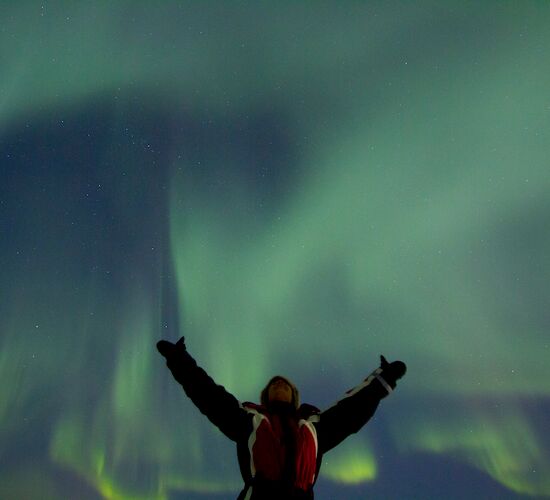 Northern Lights Snowmobile Safari