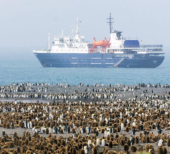 m/v Ortelius © ship ortelius