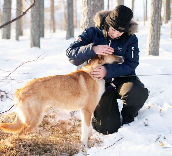 Swedish Winter Week of Adventure and Relaxation © grano beckasin
