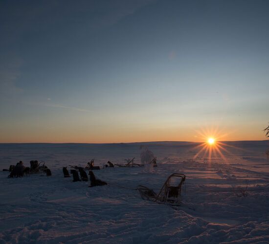 Husky Expedition zum Arktischen Meer © Sven Engholm