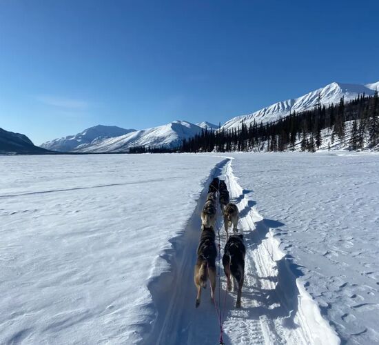 Hundeschlittenexpedition in den White Mountains Alaskas © alaska wilderness adventures