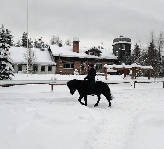 Reiturlaub Finnland © Nature Point Paljakka