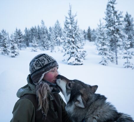 Anspruchsvolles Reiterabenteuer in Lappland © wilderness huskies siperia