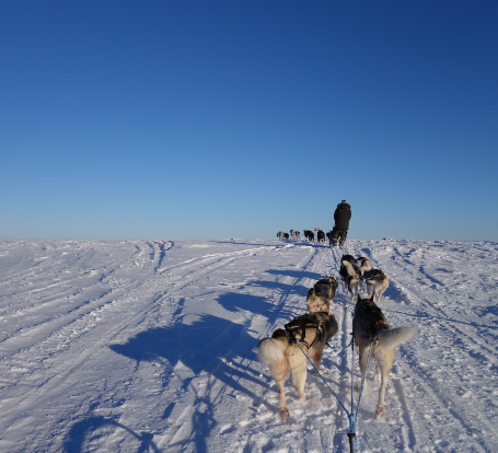 Anspruchsvolles Reiterabenteuer in Lappland © wilderness huskies siperia
