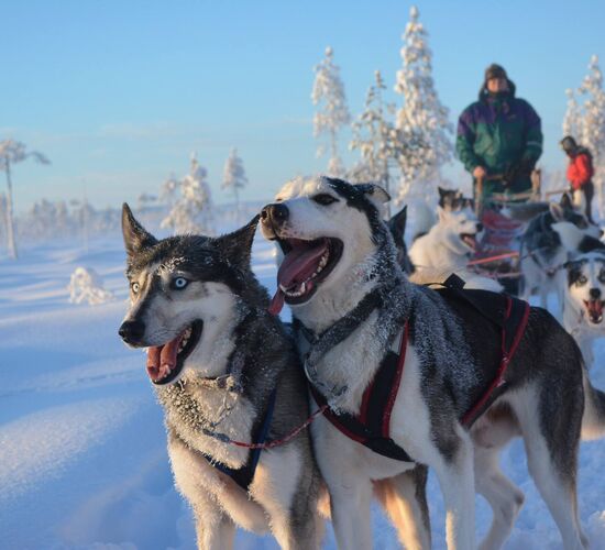 Bilder (25) Lapplands Drag