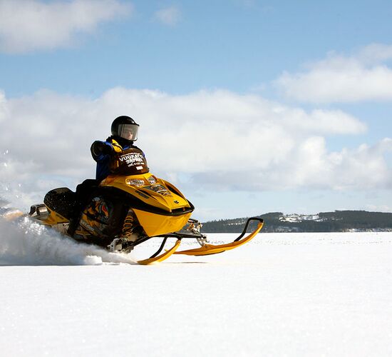 Wilderness sled dog tour Finland © vuokatti