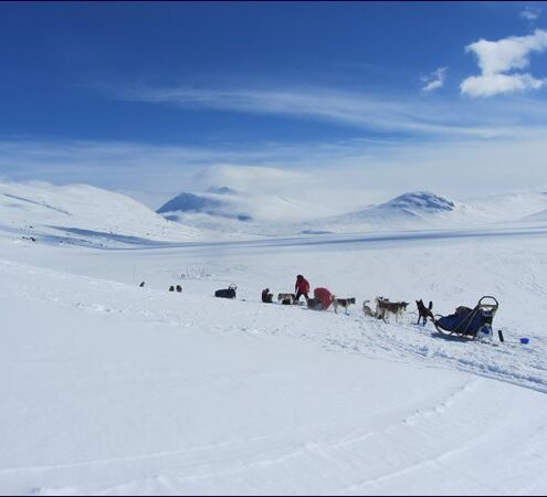 Fjälltour durch Lapplands Wildnis