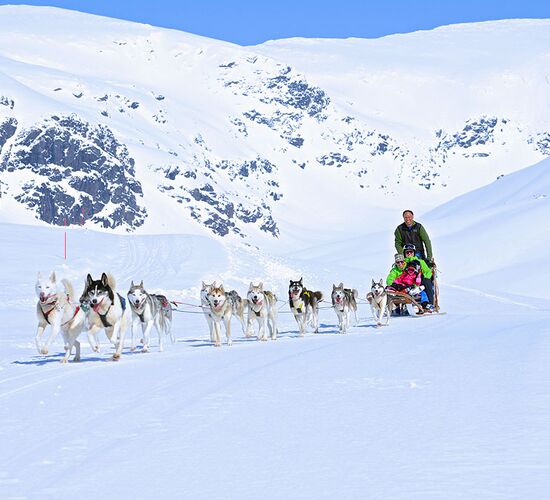 Bilder (39) Aurora Borealis Adventure