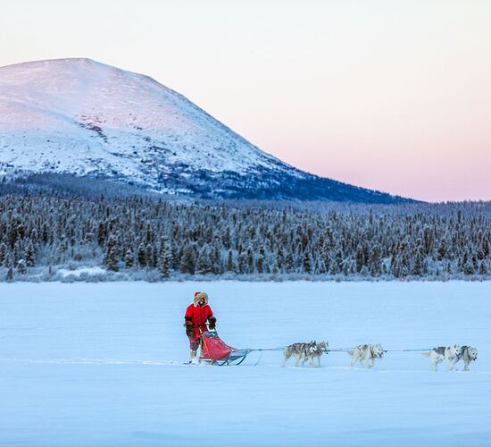 Schlittenhundetour im traumhaften Yukon © Neil Zeller