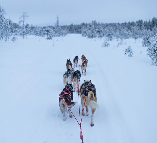 Family Christmas Holidays in Southern Lapland © hikesntrails