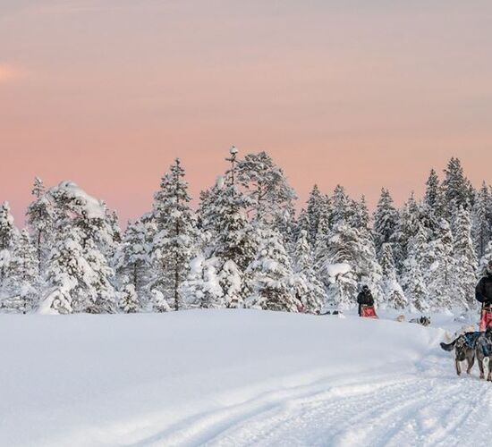Weihnachts- und Silvesterspezial mit Huskys und Rentieren © frosty trails