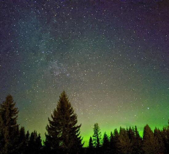 Husky holidays in Sweden's wilderness © nordic husky farm