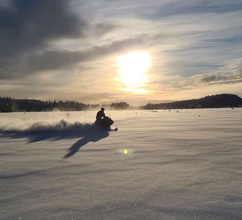 Half day snowmobile safari © pictures resized