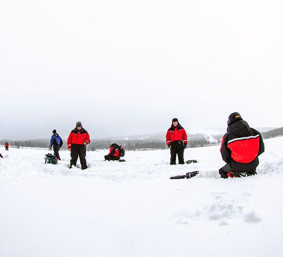 Kurzurlaub mit Polarlichtjagd © vuokatti safaris