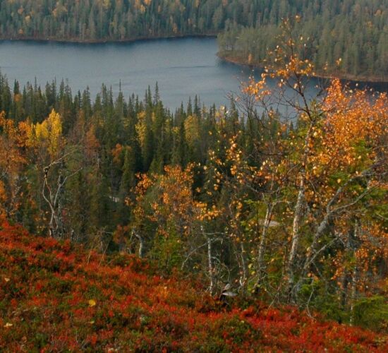 Family Christmas Holidays in Southern Lapland © hikesntrails