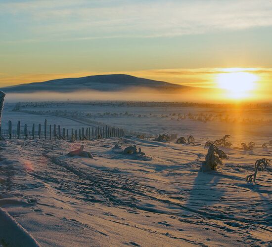 Northern Lights with Direct Flight © Harriniva Hotels & Safaris