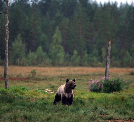 Reiturlaub Finnland © Nature Point Paljakka