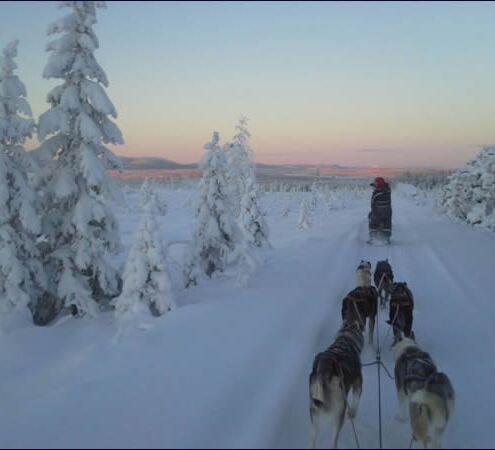 Fjälltour durch Lapplands Wildnis © Huskycamp Gasa