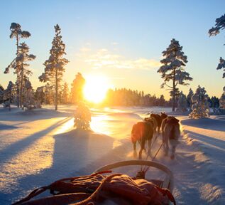 © Trails of Lapland