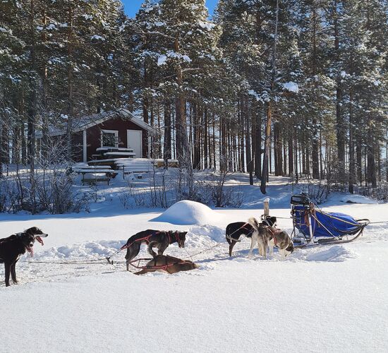 Swedish Winter Week of Adventure and Relaxation © grano beckasin