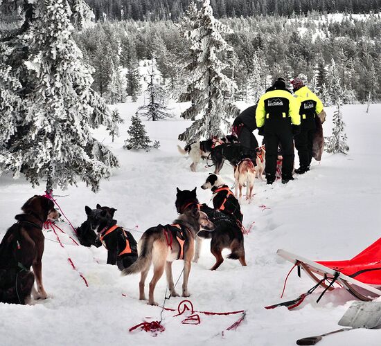 Winterwoche mit Huskys in atemberaubender Natur © whitehorizon