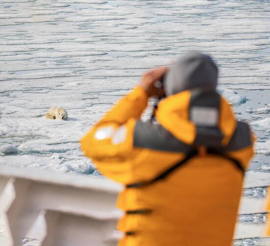 Antarktis-Express: Südwärts per Flug, nordwärts per Schiff © Das Beste von Spitzbergen