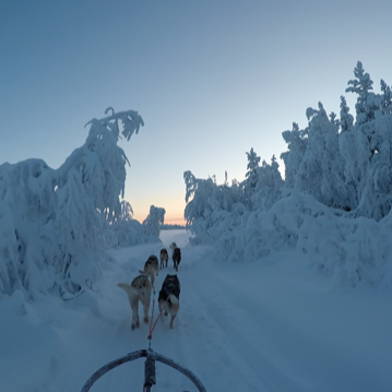 Huskykompaniet