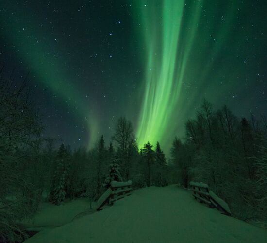 Wild & Luxury Dog Sledding © isosyoete