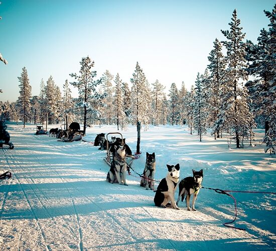 Echte Huskytour von Hütte zu Hütte © hetta husky