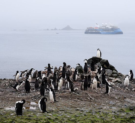 Antarktis Rundum mit Flug über die Drake Passage © ship ocean victory