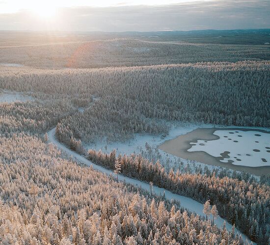 Die weite Stille Lapplands