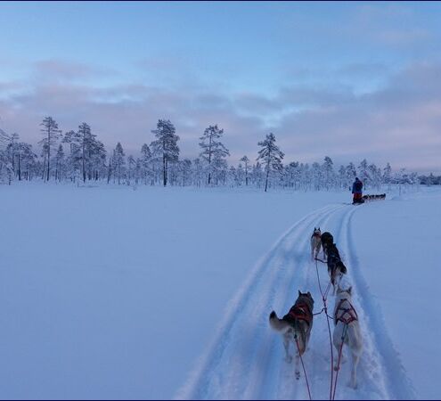 Fjälltour durch Lapplands Wildnis © Huskycamp Gasa