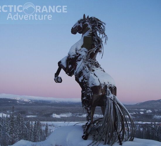 Over the ice road and to the Arctic Sea © Arctic Range Adventures